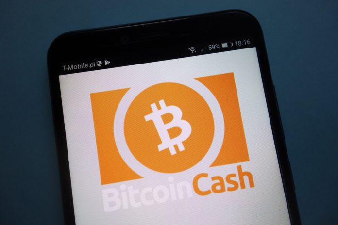 Bitcoin Cash Fiyatı, Yüzde 10 Artışla 170 Doları Aştı