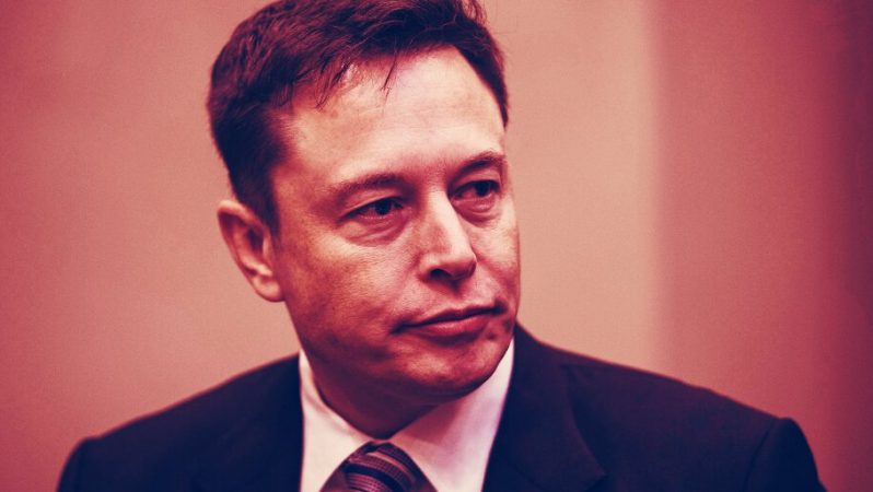 Dogecoin Geliştiricileri 2019’dan Beri Elon Musk ile Çalıştıklarını Söyledi